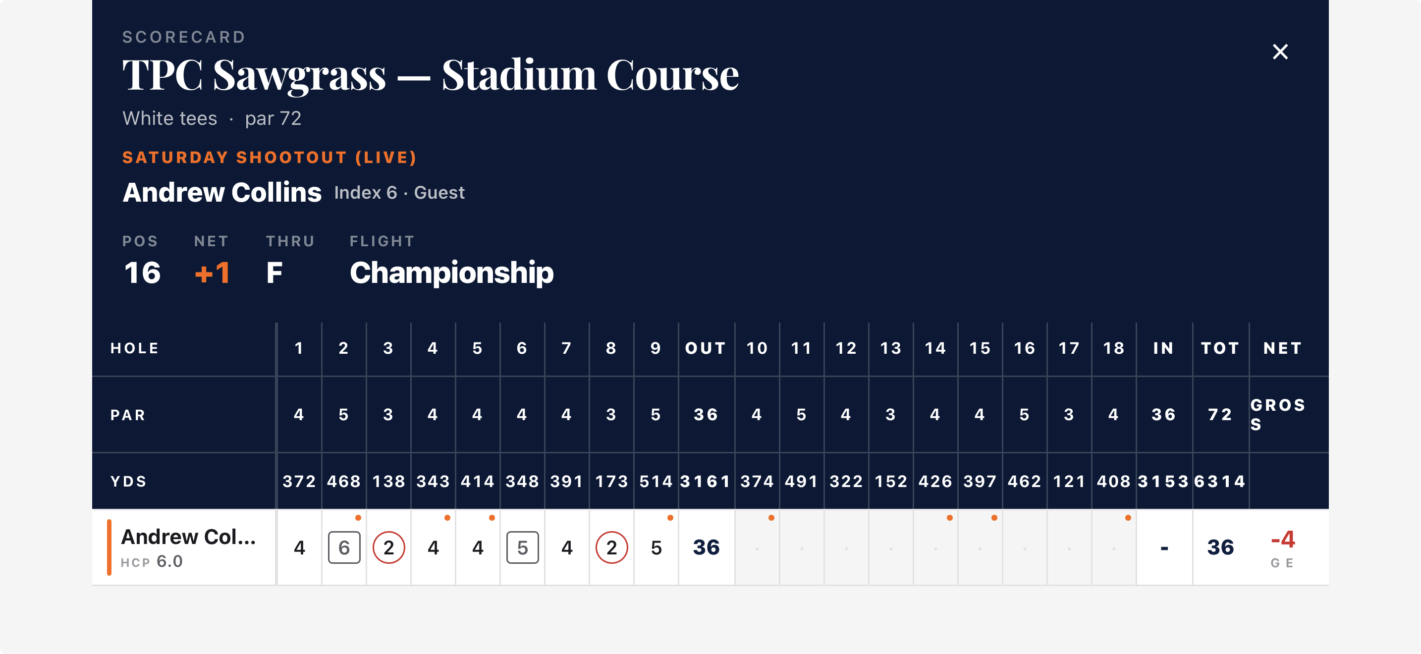 Skins Golf landscape scorecard: full 18-hole grid with gross and net, birdies circled